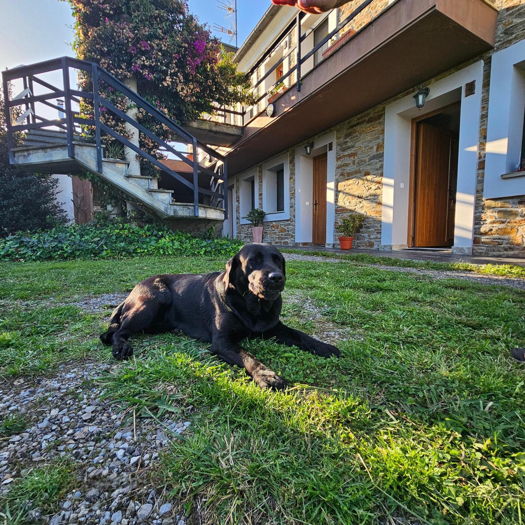Apartamentos Castello Cartavio Eksteriør billede