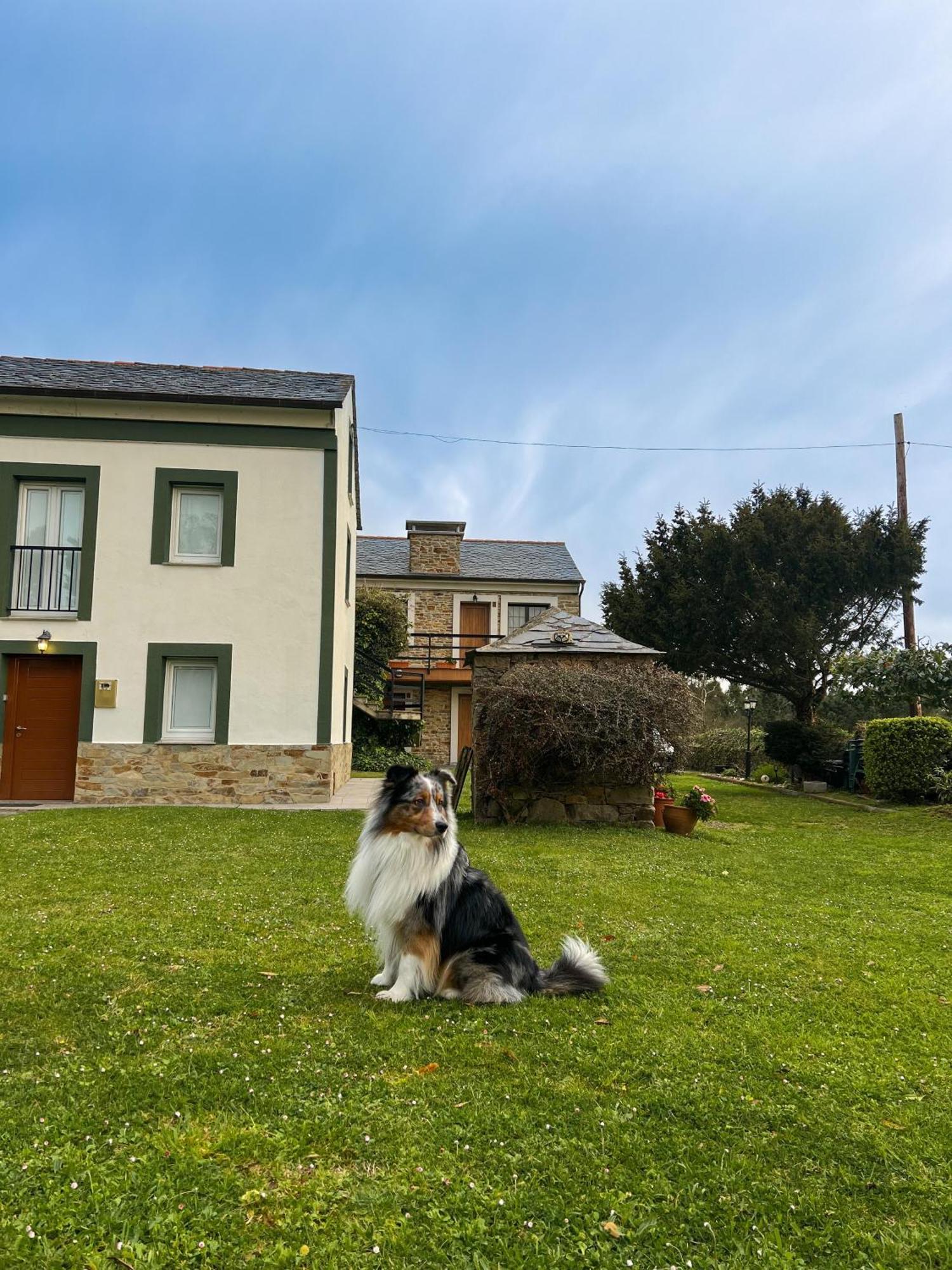 Apartamentos Castello Cartavio Eksteriør billede